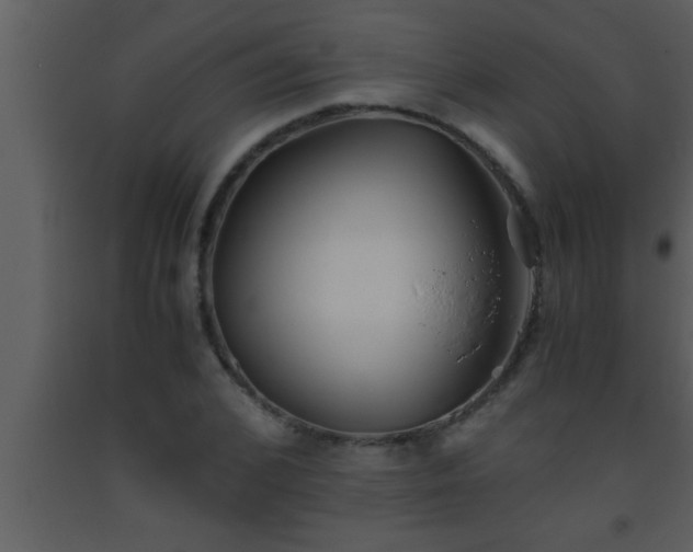 X0000093510976200710191307