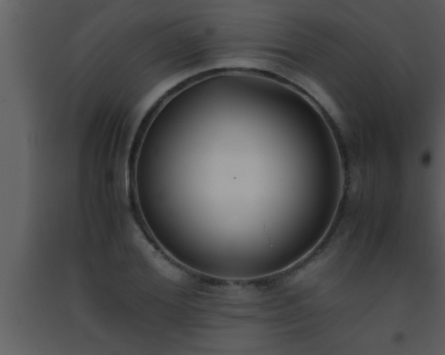 X0000093510980200710191307