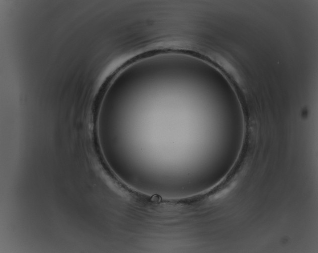 X0000093510981200710191307