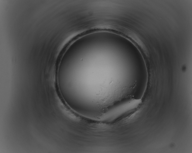 X0000093510984200710191307