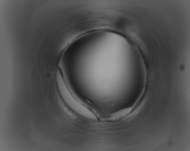X0000093510985200710191307