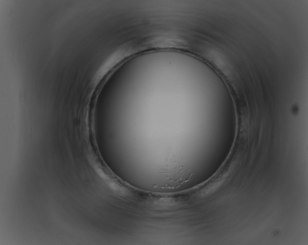 X0000093510986200710191307