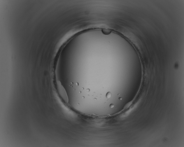 X0000093510989200710191307