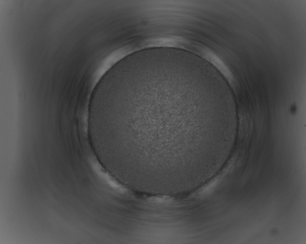 X0000093510994200710191307