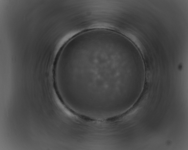 X0000093510995200710191307