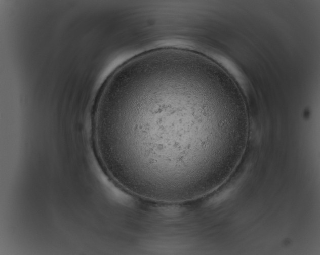 X0000093510999200710191307