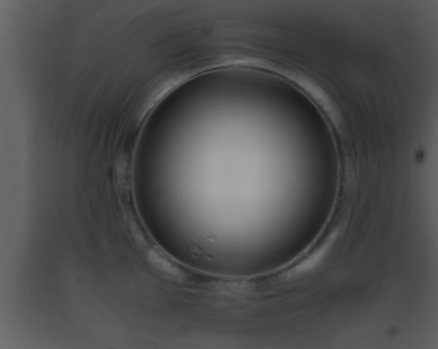 X0000093511001200710191307