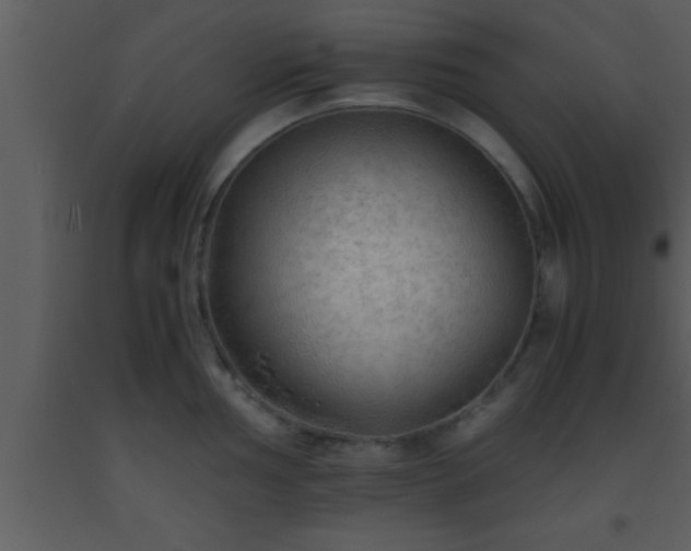 X0000093511002200710191307