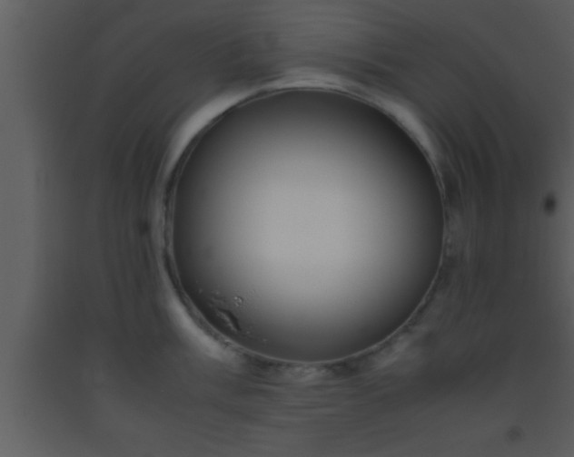 X0000093511003200710191307