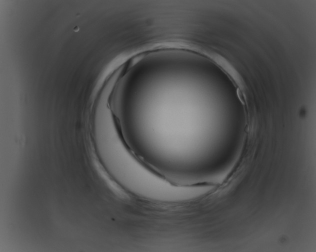 X0000093511005200710191306