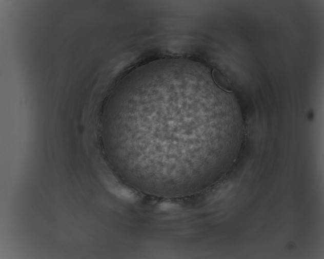 X0000093511009200710191306