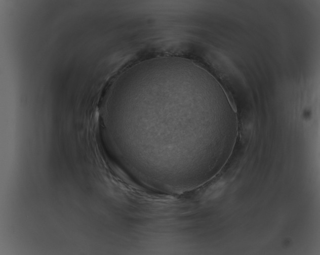 X0000093511010200710191306