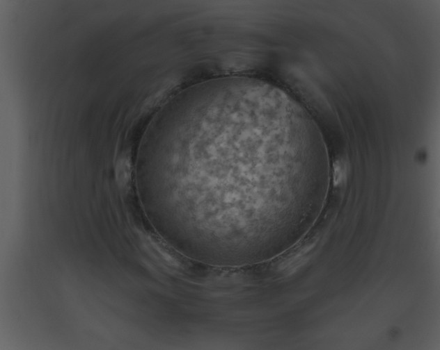 X0000093511011200710191306
