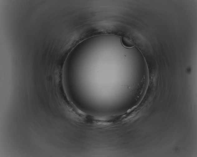 X0000093511012200710191306
