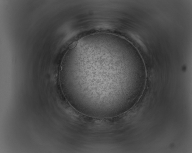 X0000093511015200710191306
