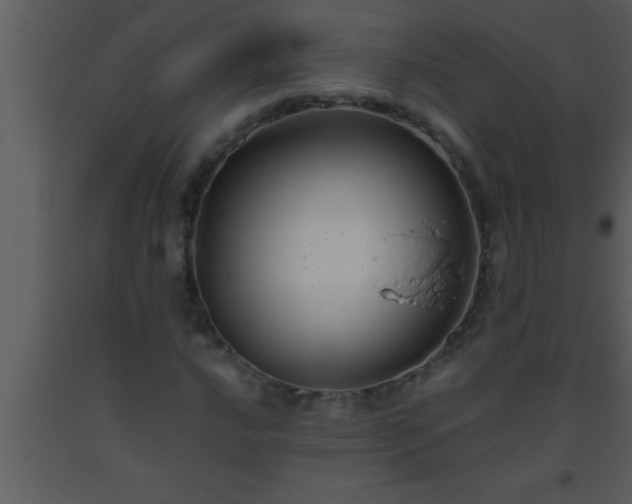 X0000093511016200710191306