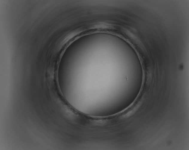 X0000093511017200710191306