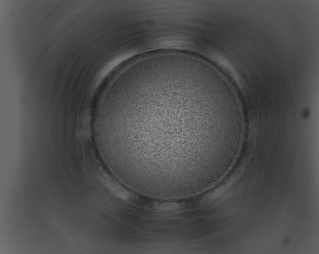 X0000093511019200710191306