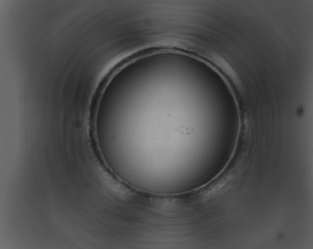 X0000093511020200710191306