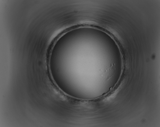 X0000093511022200710191306