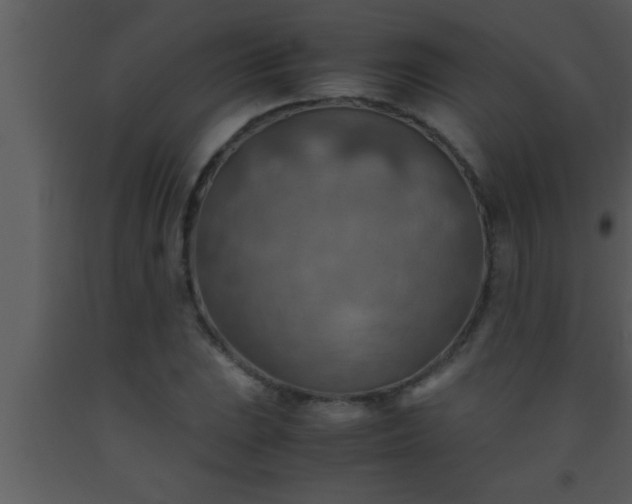 X0000093511023200710191306