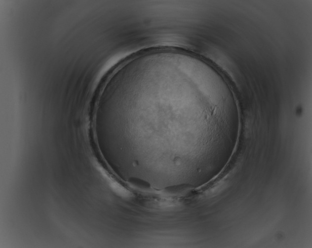 X0000093511024200710191306