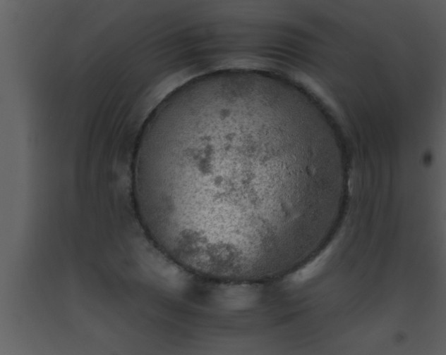 X0000093511025200710191306