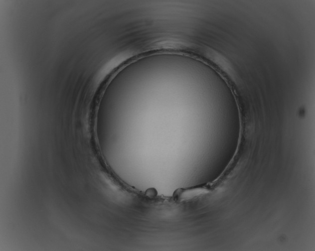 X0000093511026200710191306