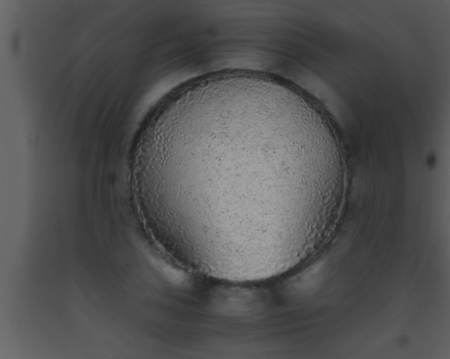 X0000093511027200710191306