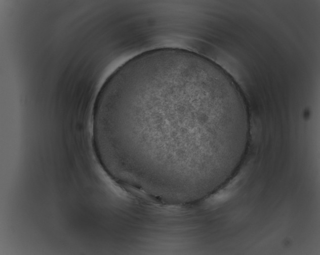 X0000093511028200710191306
