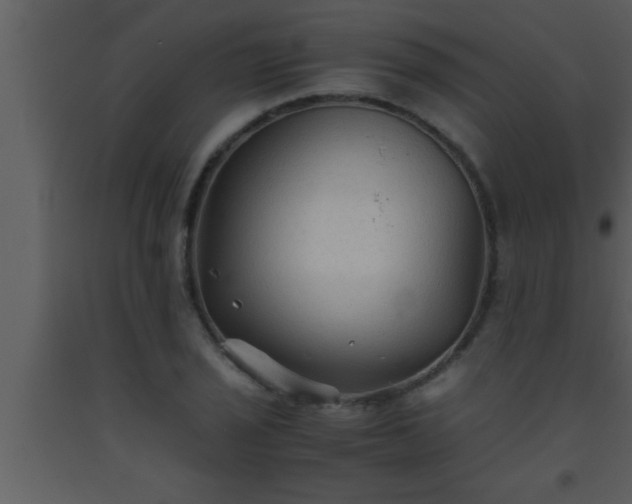 X0000093511029200710191306