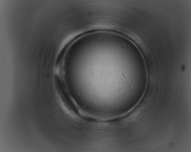 X0000093511030200710191306
