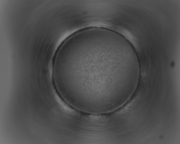 X0000093511032200710191306