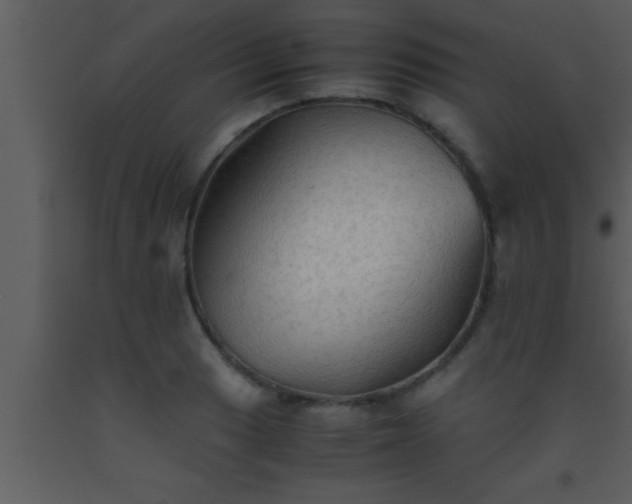 X0000093511033200710191306