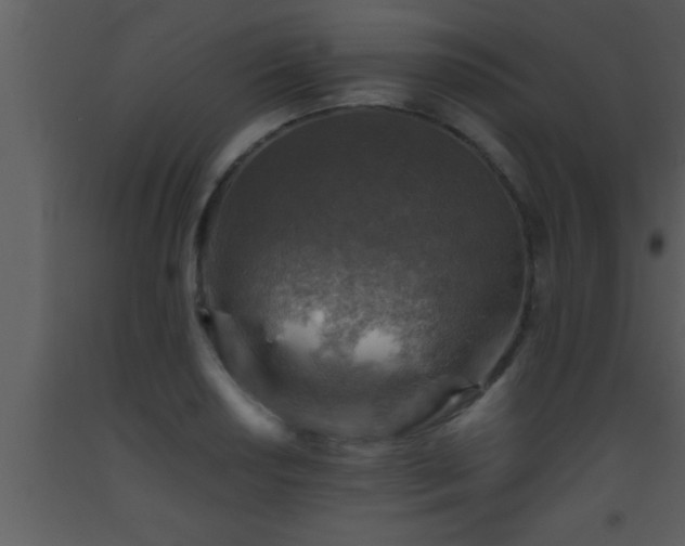 X0000093511034200710191306