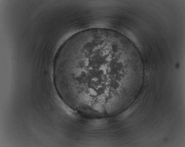 X0000093511035200710191306