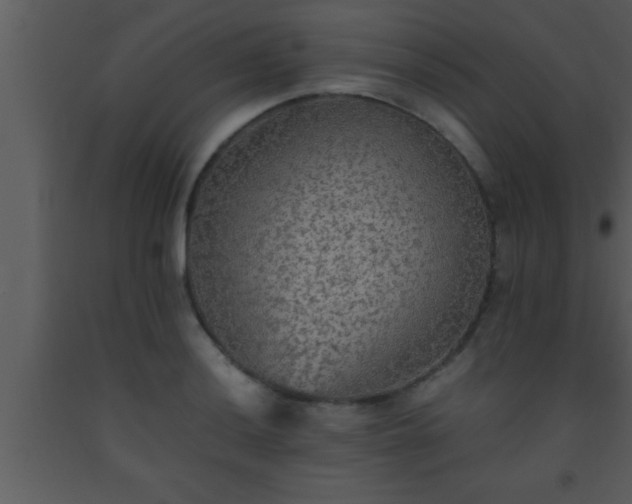 X0000093511036200710191306