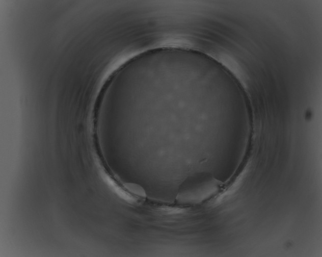 X0000093511037200710191306