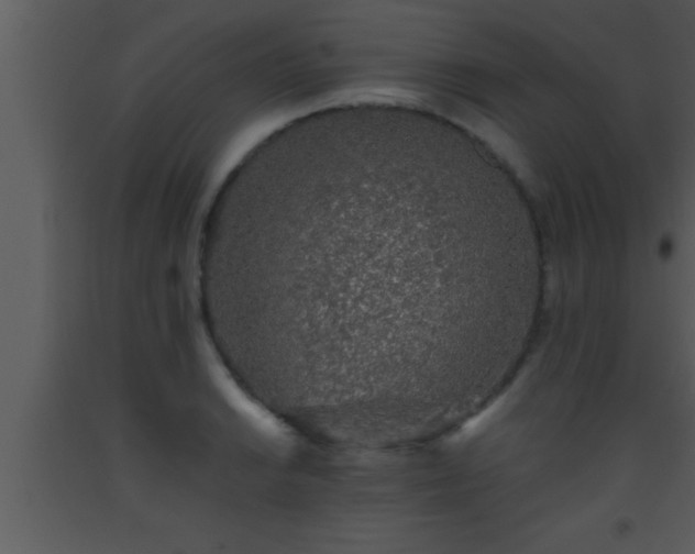 X0000093511038200710191306