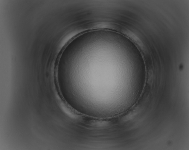 X0000093511039200710191306