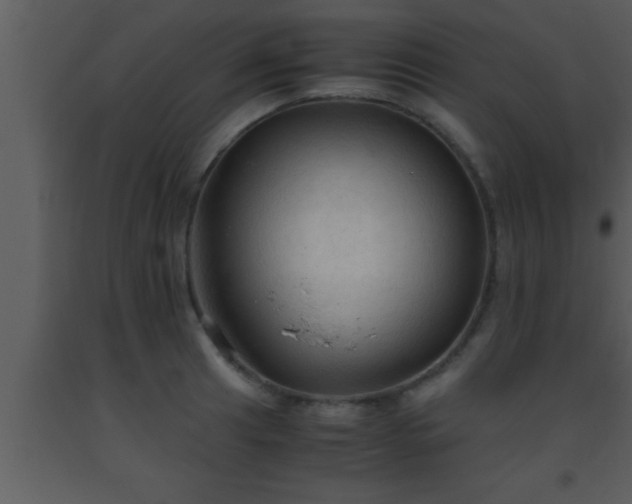 X0000093511041200710191306