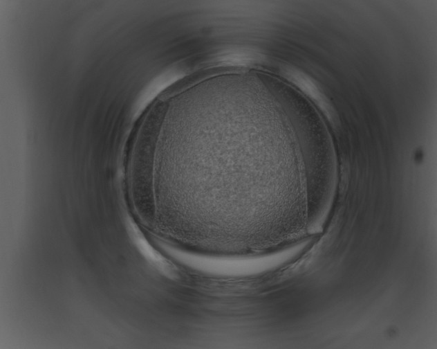X0000093511042200710191306