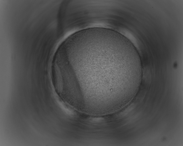 X0000093511043200710191306
