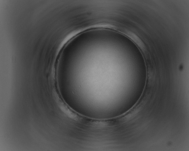 X0000093511044200710191306