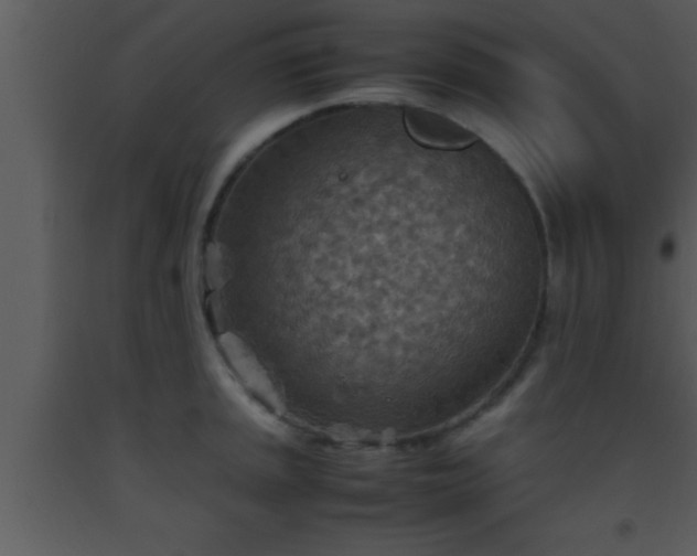 X0000093511045200710191306