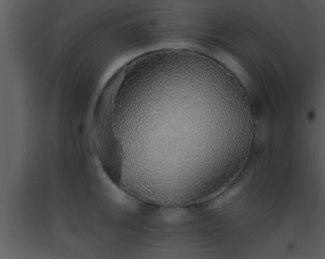 X0000093511046200710191306