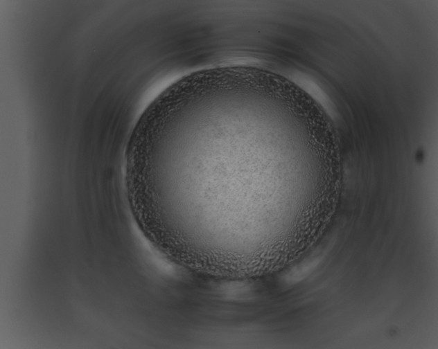 X0000093511047200710191306