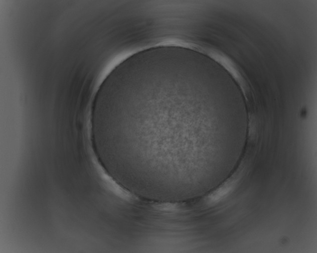 X0000093511048200710191306