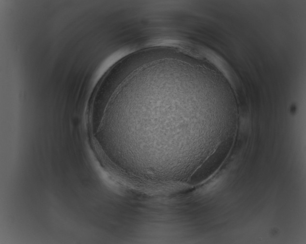 X0000093511050200710191306
