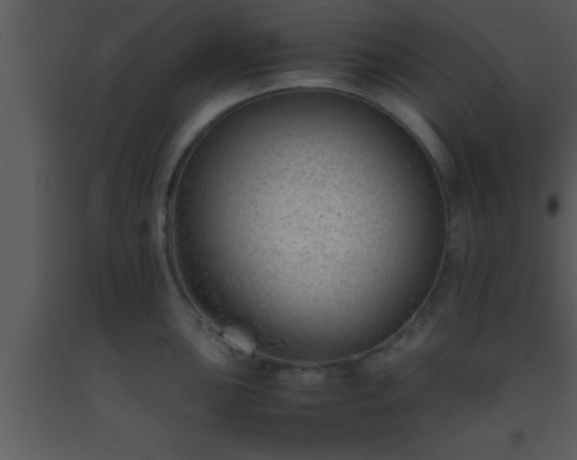 X0000093511051200710191306